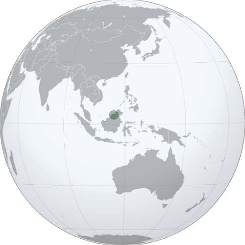 Pictorial representation of the map of Brunei Darussalam in the world map