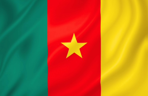 Image illustrating the big size flag of Cameroon