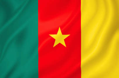 Image illustrating the flag of Cameroon