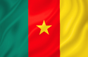 Image illustrating the flag of Cameroon