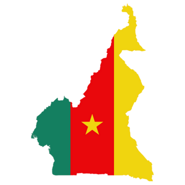 Pictorial representation of map of Cameroon