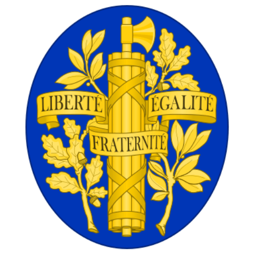 Image showing the big size coat of arms or embelem of France