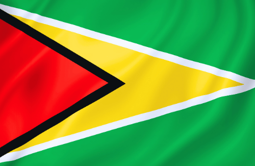 Image illustrating the big size flag of Guyana