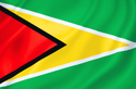 Image illustrating the flag of guyana