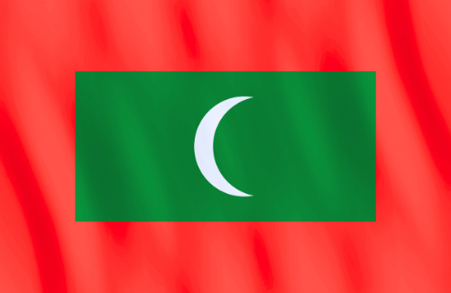 Image illustrating the big size flag of Maldives