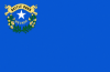 Image illustrating the flag of Nevada