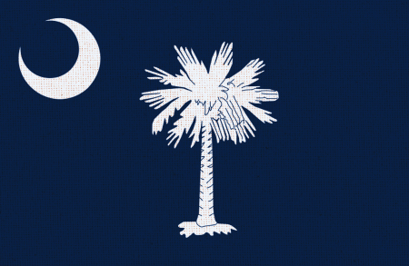 Image illustrating the flag of South Carolina