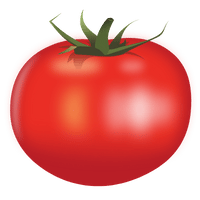 Image Describing tomatoes cost per month