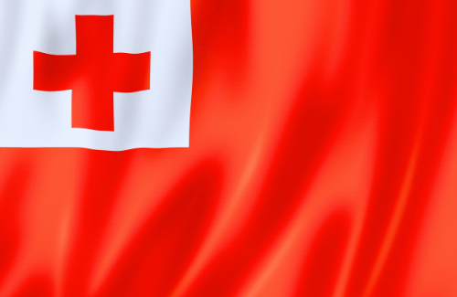 Image illustrating the big size flag of Tonga