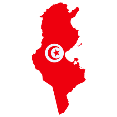 Pictorial representation of map of Tunisia