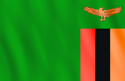 Image illustrating the big size flag of Zambia